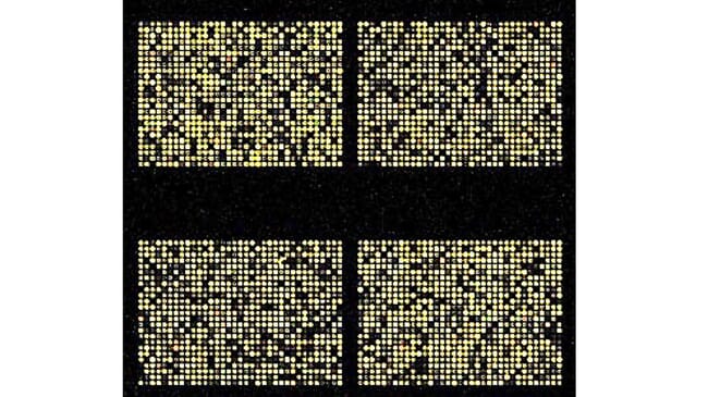 3600 SNP array