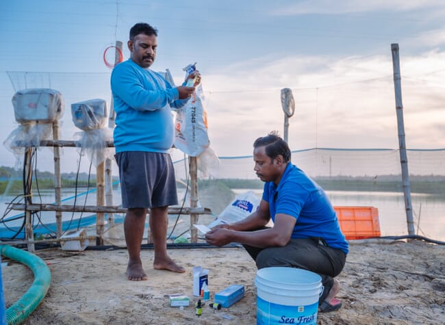 Water quality testing