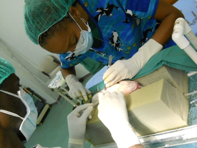 fish surgery