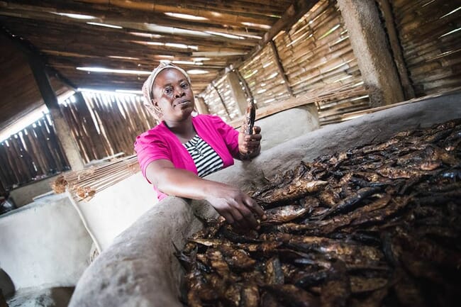A woman smoking fish in Ghana.