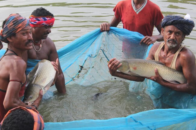 men holding fish