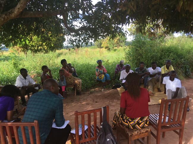 A group of people meeting in the shade of some large trees.