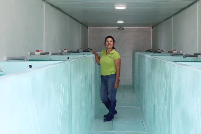indoor water tanks