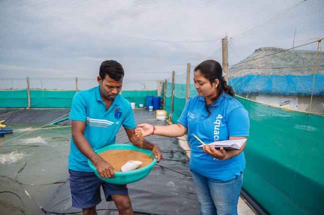 Man holding a feed bucket and a woman standing near a shrimp pond