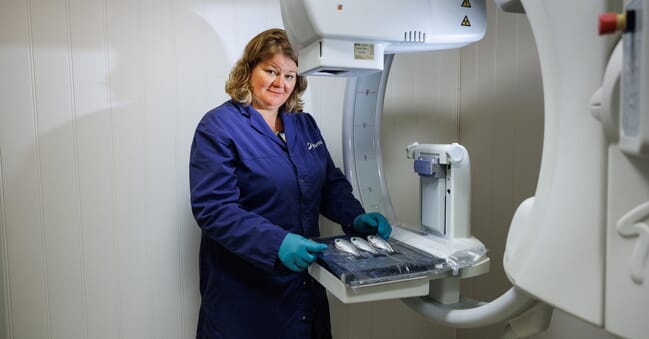 a scientist diagnosing nephrocalinosis in fish