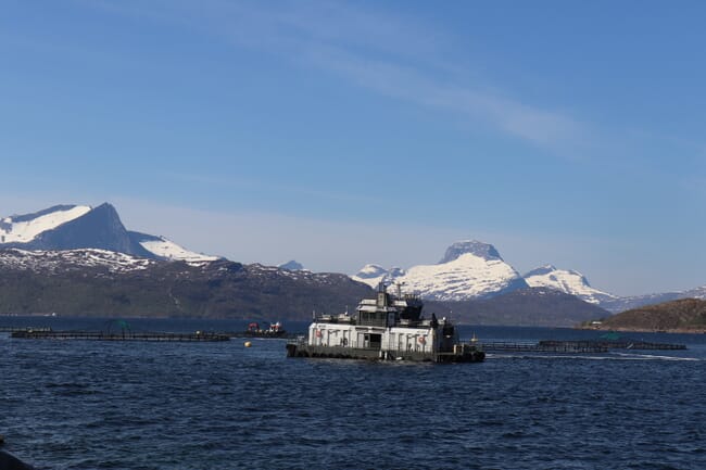 A fish farm in the sea.