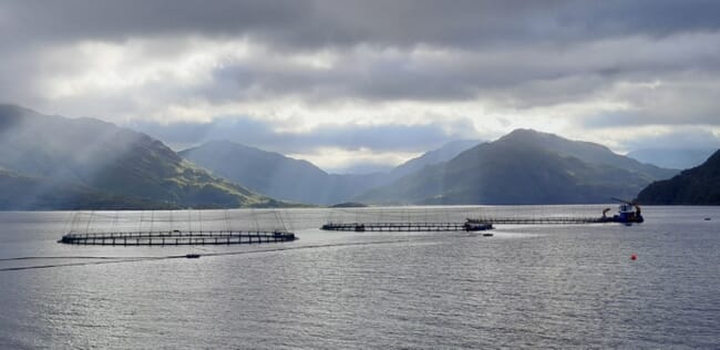 Mowi Loch Hourn site.