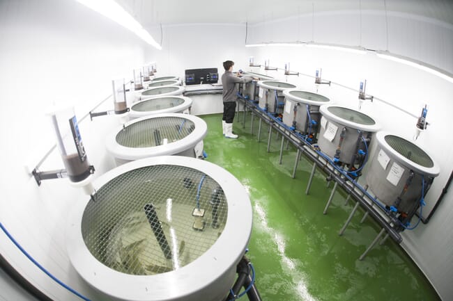 A aquaculture trial facility.