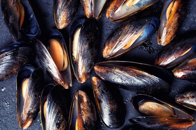 Blue mussels.