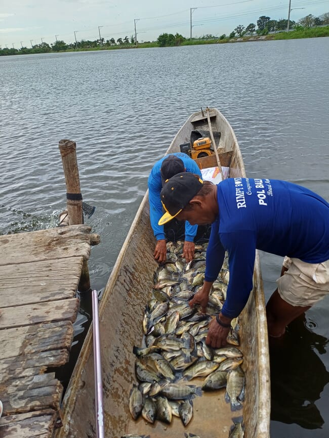 A man unloading fish from a boat.