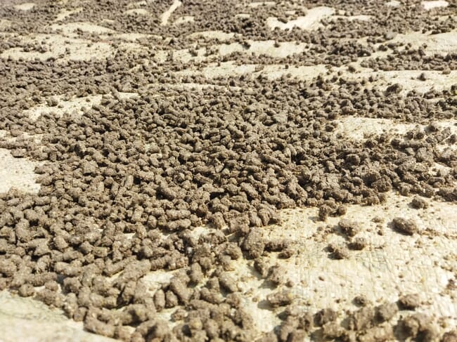 feed pellets