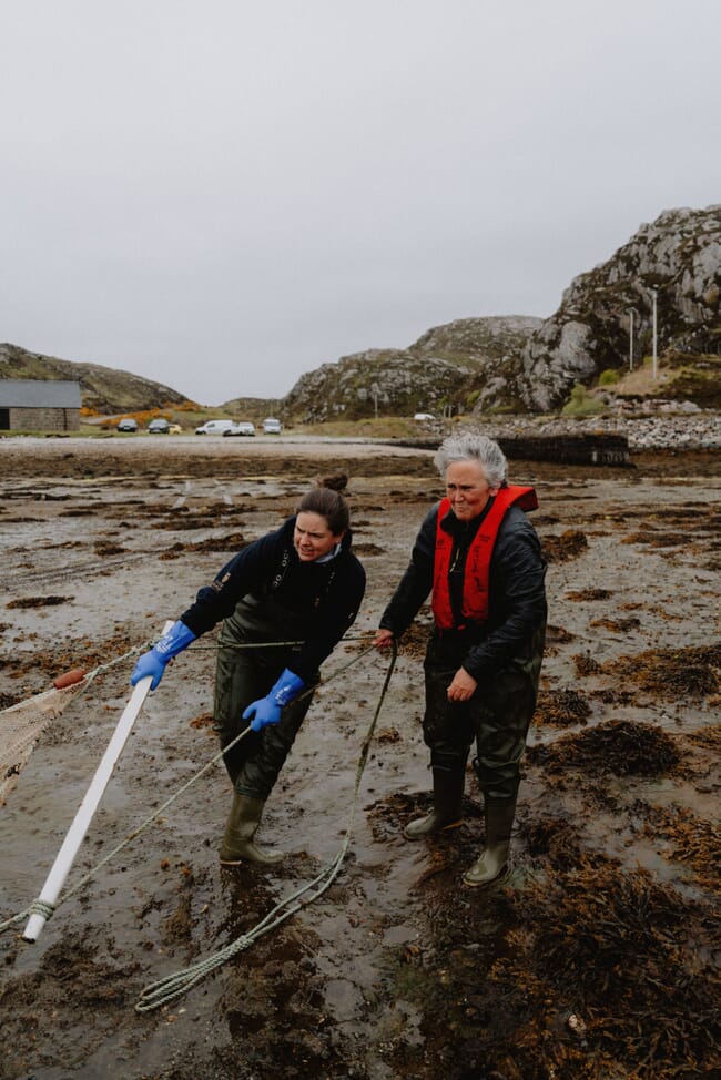 A fisheries biologist conducting a survey.
